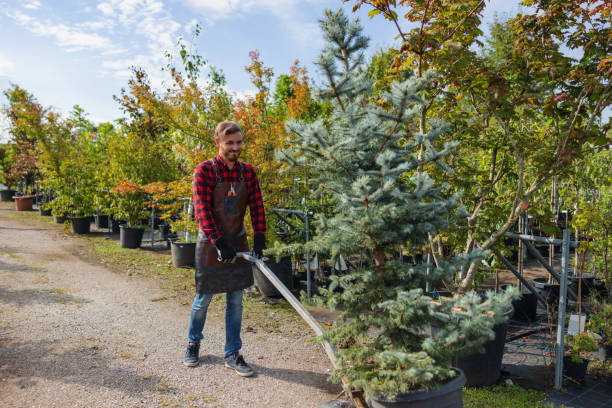 Far Hills, NJ Tree Removal and Landscaping Services Company